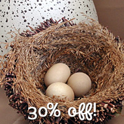 The Fat Finch Boutique for Bird Lovers | Home Decor Twig Nest