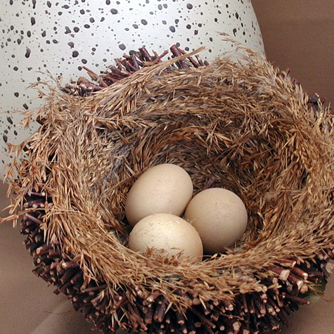 The Fat Finch Boutique for Bird Lovers | Decorative Twig Nest