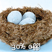 The Fat Finch Boutique for Bird Lovers | Home Decor Grass Nest