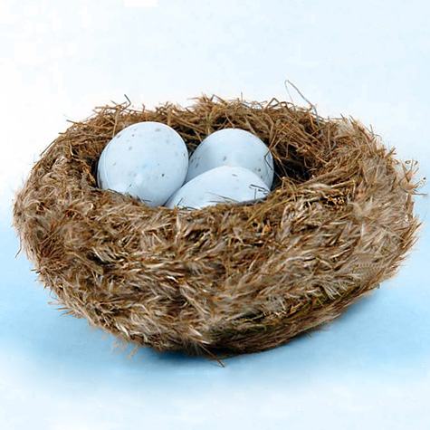 The Fat Finch Boutique for Bird Lovers | Leaf Dish with Perching Bird
