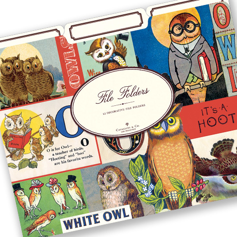 The Fat Finch Boutique for Bird Lovers | Cavallini & Company Owl File Folders 