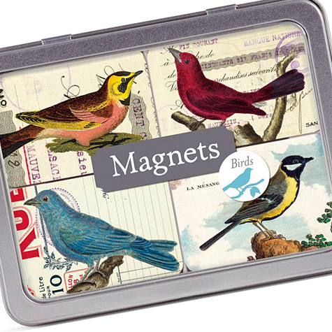The Fat Finch Boutique for Bird Lovers | Cavallini & Company Bird Magnets