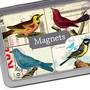 The Fat Finch Boutique for Bird Lovers | Cavallini and Co. Bird Magnets