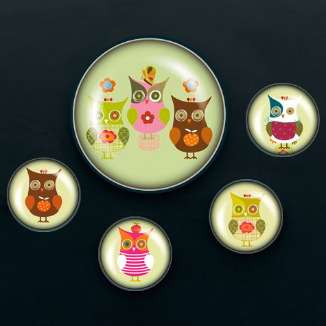 The Fat Finch Boutique for Bird Lovers | iPop Big Clicks & Clicks Magnets - Pop Art Owls