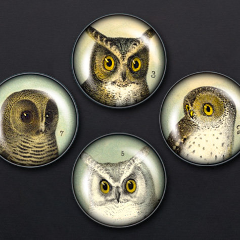 The Fat Finch Boutique for Bird Lovers | iPop Clicks Magnets - Vintage Art Owls