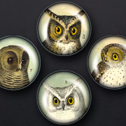 The Fat Finch Boutique for Bird Lovers | Home Office Supplies with Bird Art and Motifs