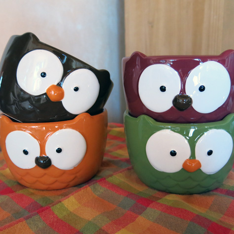 Owl Bowls from The Fat Finch Boutique for Bird Lovers