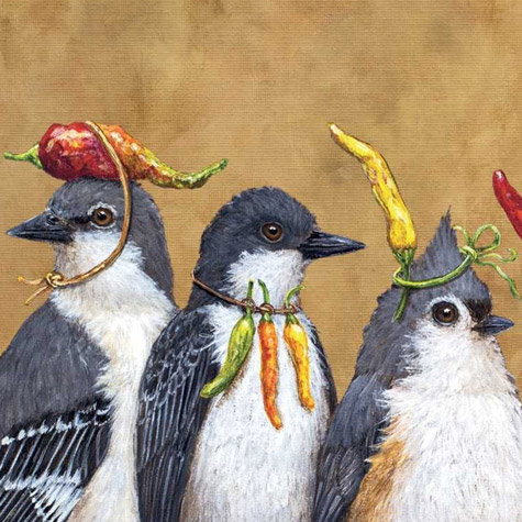 Spicing It Up Napkins by Vicki Sawyer from The Fat Finch Boutique for Bird Lovers