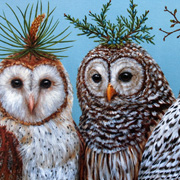 The Fat Finch Boutique for Bird Lovers | Winter Owls Paper Placemats