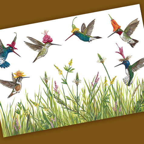 The Fat Finch Boutique for Bird Lovers | Hummingbirds Paper Placemats or Serving Papers