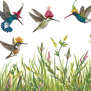 The Fat Finch Boutique for Bird Lovers | Hummingbirds in Hats Paper Placemats