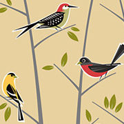 The Fat Finch Boutique for Bird Lovers | Bird Banter Paper Placemats