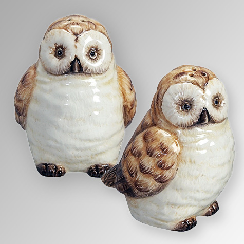 Ceramic Owls Salt and Pepper Set from the The Fat Finch Boutique for Bird Lovers