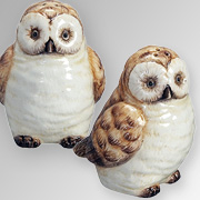The Fat Finch Boutique for Bird Lovers | Owl Salt and Pepper Shakers