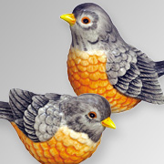 The Fat Finch Boutique for Bird Lovers | Owl Salt and Pepper Shakers