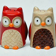 The Fat Finch Boutique for Bird Lovers | Owl Salt and Pepper Shakers