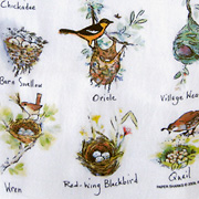 The Fat Finch Boutique for Bird Lovers | Birds and Nests Flour Sack Kitchen Towel