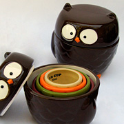 The Fat Finch Boutique for Bird Lovers | Owl Cookie Jar